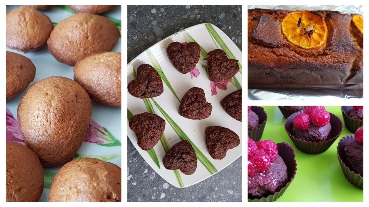 Belle Visnonia B&B Gluten Free & Traditional Béganne 외부 사진